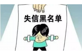 奉化融资清欠服务